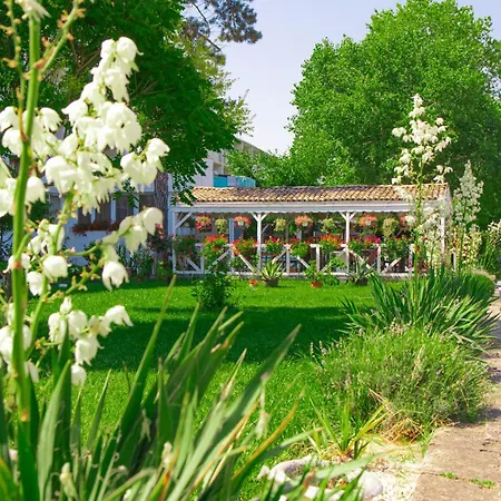 Minerva 2* Eforie Nord